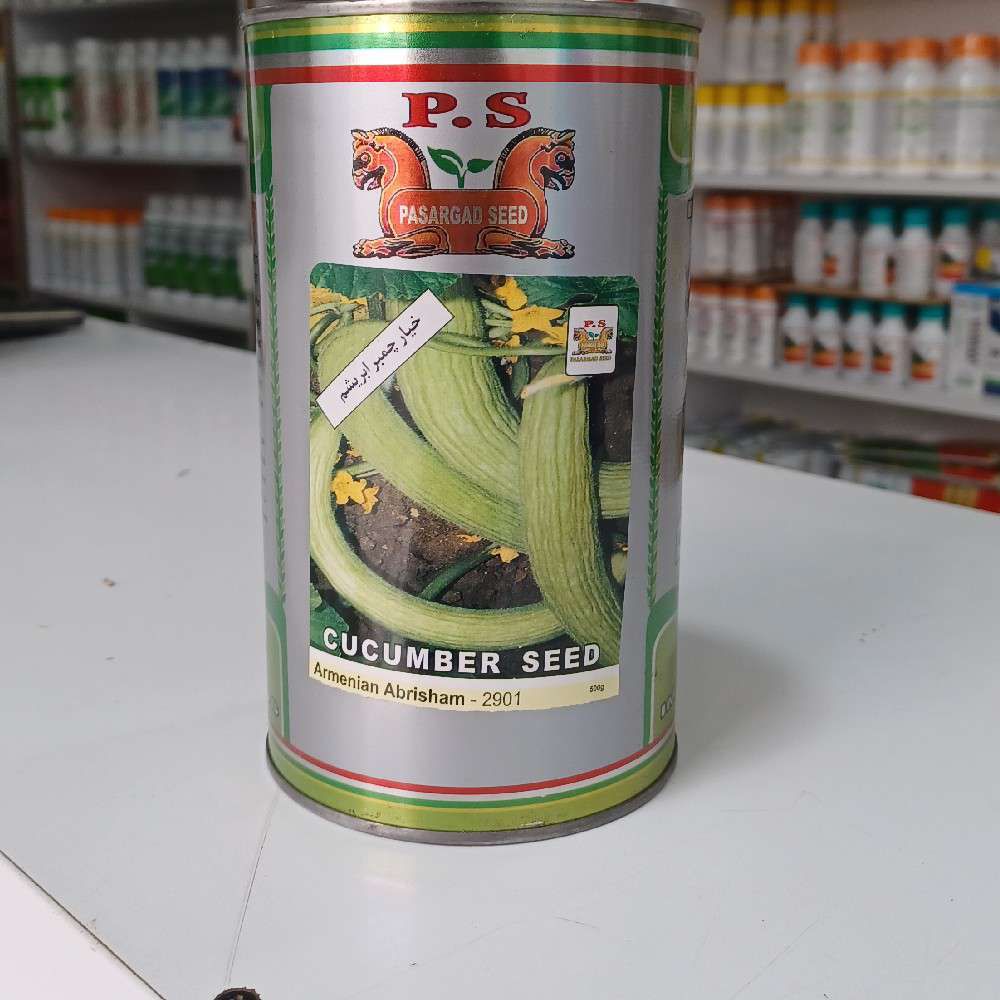 خیار چنبر یکتا بذر قوطی