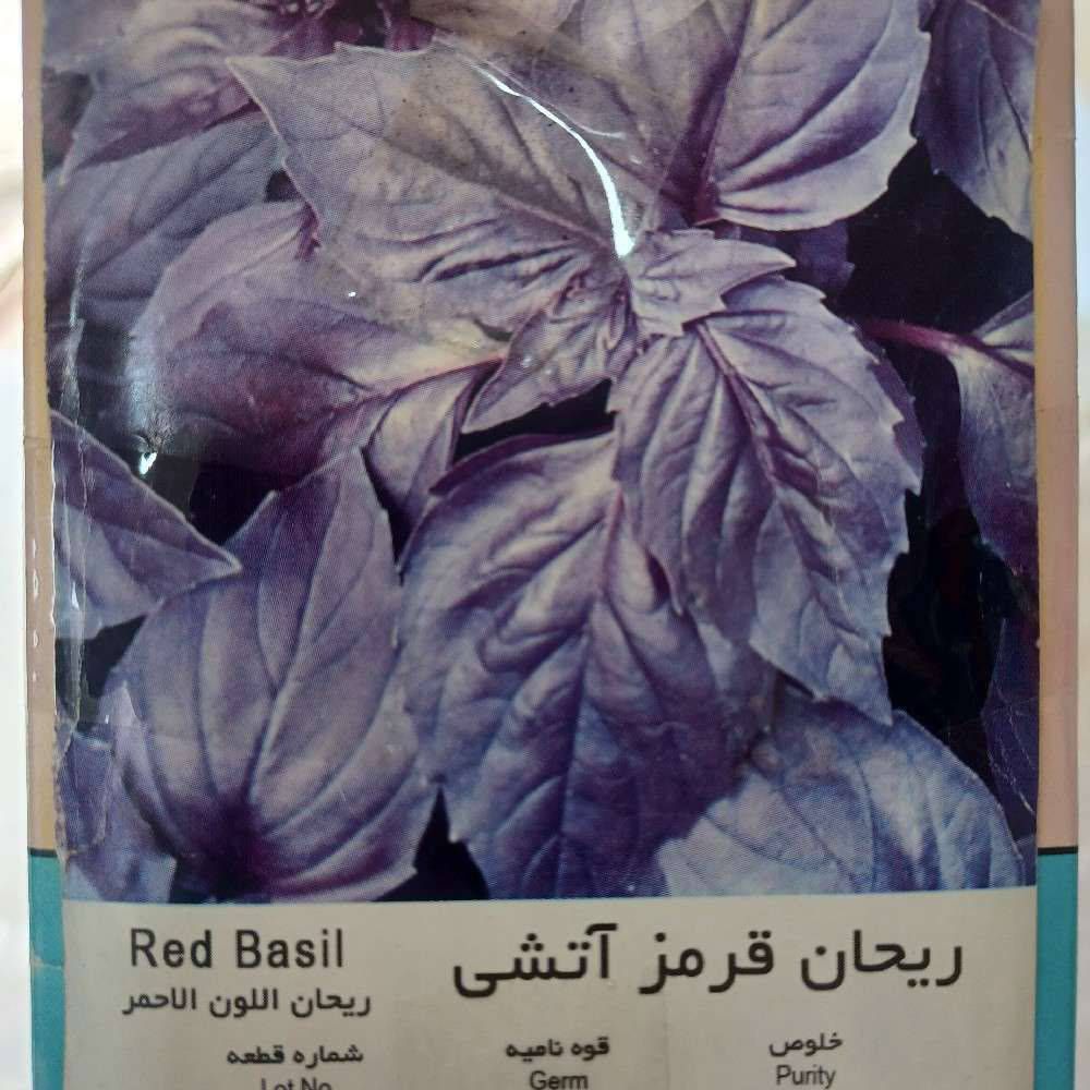 بذر ریحان قرمز آتشی ( بنفش) بسته ۱۵ گرمی