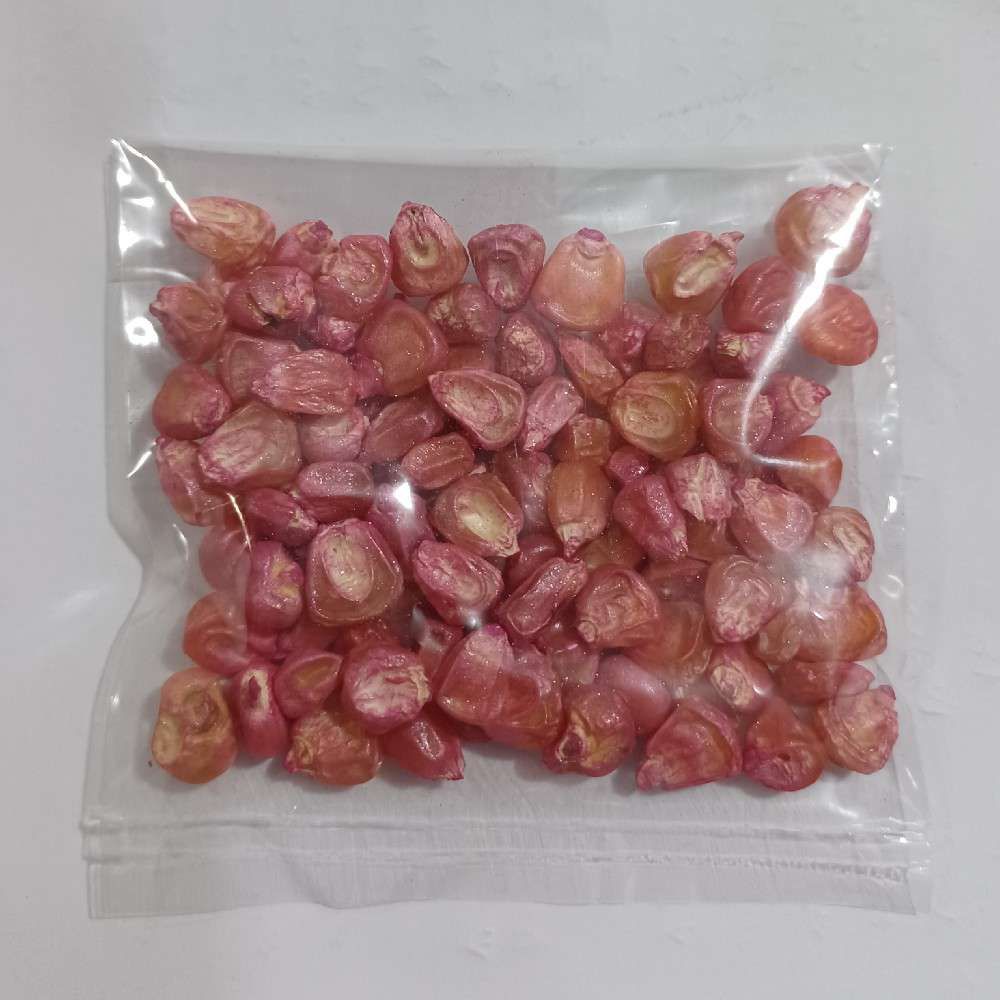 ذرت شیرین ۲۰ گرمی