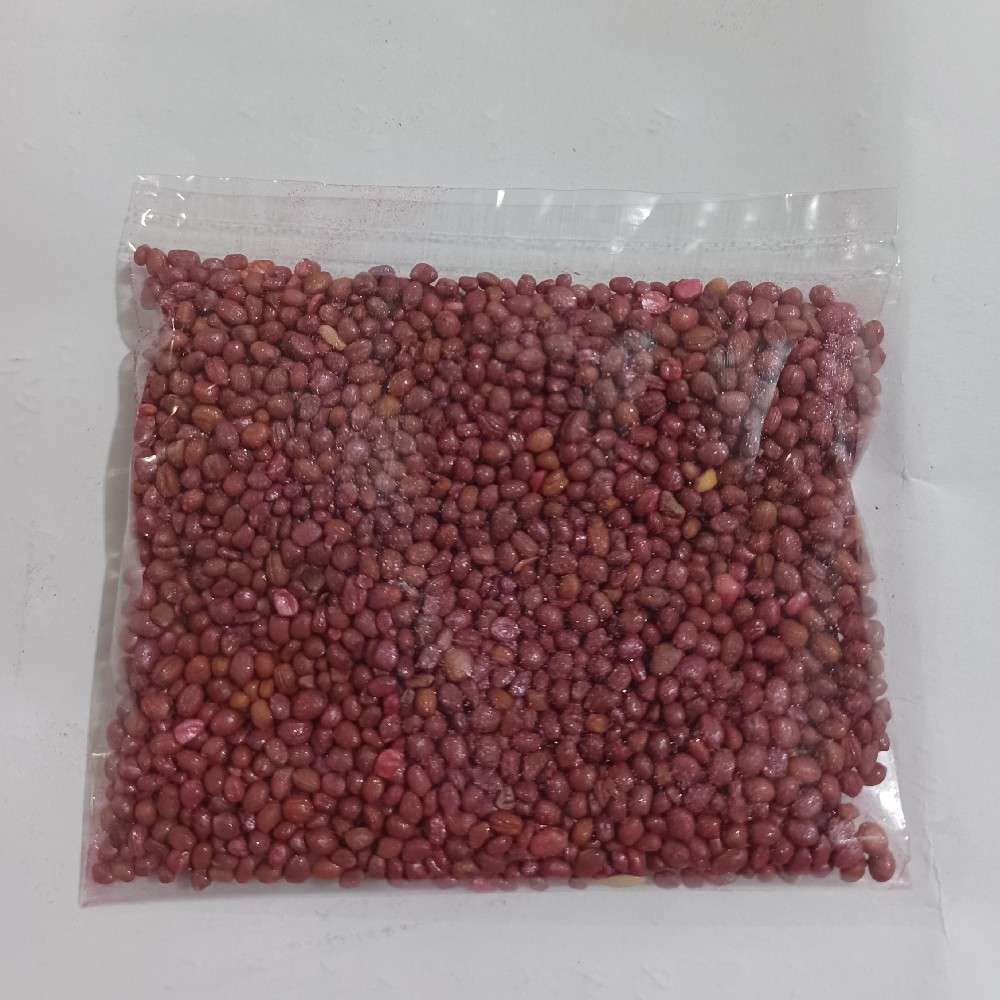 ترب برگی یکتا بذر بسته ۲۰ گرمی